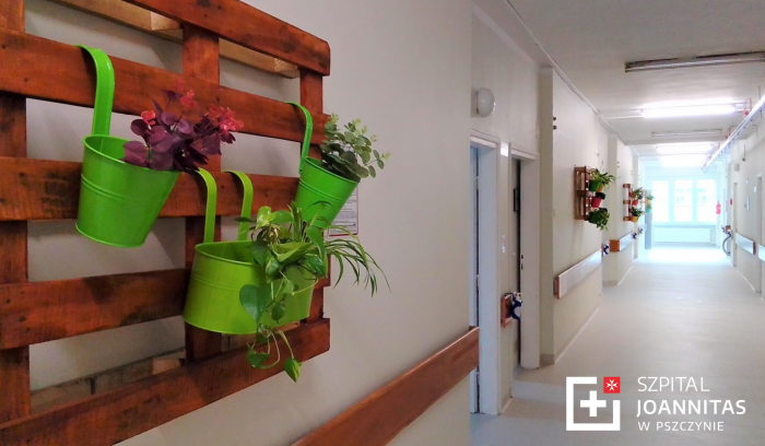 Dzi­enny Dom Opieki Medy­cznej w Pszczynie