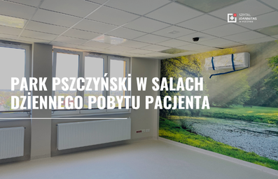 Park Pszczyński w salach dziennego pobytu pacjenta